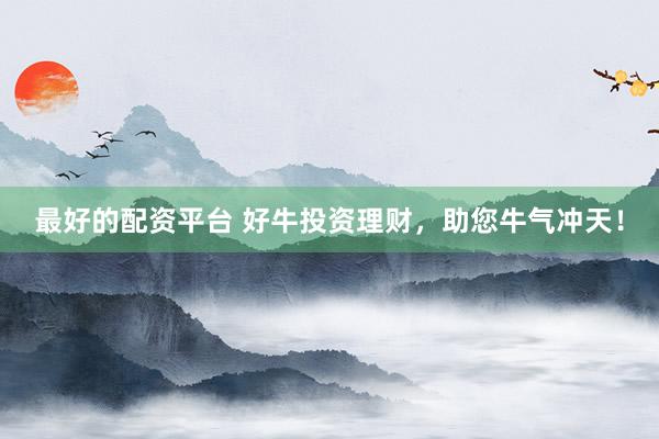 最好的配資平臺(tái) 好牛投資理財(cái)，助您牛氣沖天！