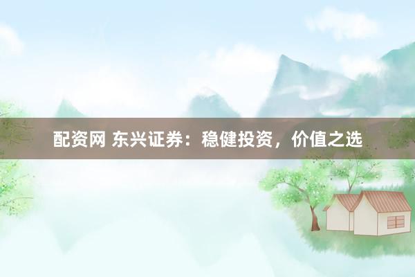 配資網 東興證券：穩健投資，價值之選