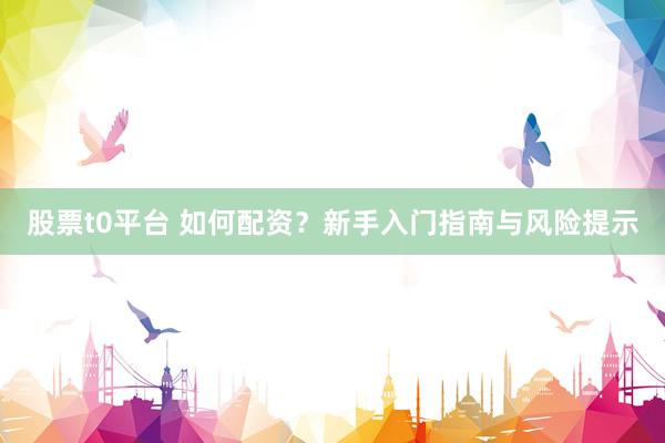 股票t0平臺 如何配資？新手入門指南與風險提示