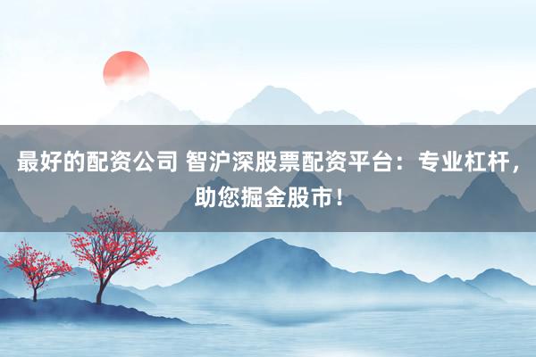 最好的配資公司 智滬深股票配資平臺：專業杠桿，助您掘金股市！