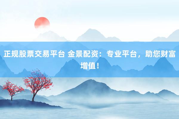 正規股票交易平臺 金景配資：專業平臺，助您財富增值！