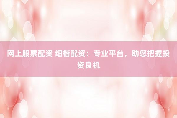 網(wǎng)上股票配資 細楷配資：專業(yè)平臺，助您把握投資良機